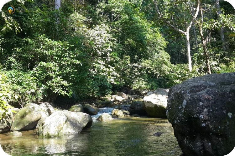 Imej Air Terjun Tupah