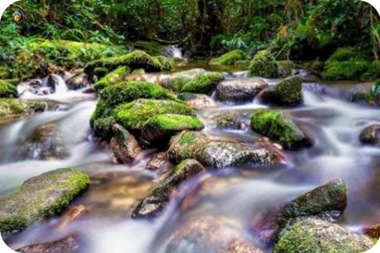 Imej Gunung Bintang