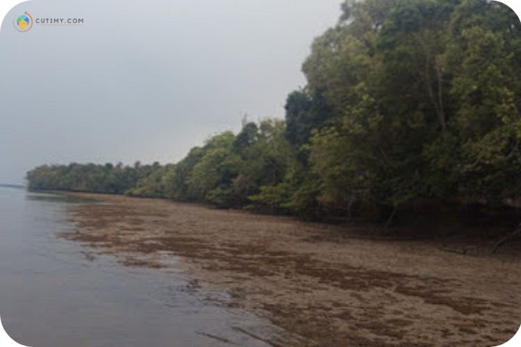 Imej Pulau Selingan