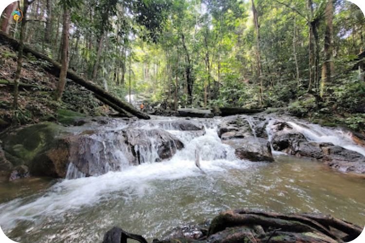 Imej Air Terjun Sungai Tekala