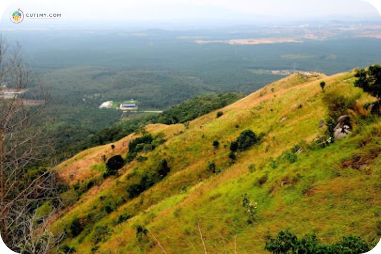 Imej Bukit Broga