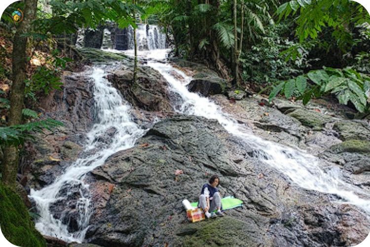 Imej Forest Research Institute Of Malaysia (FRIM)