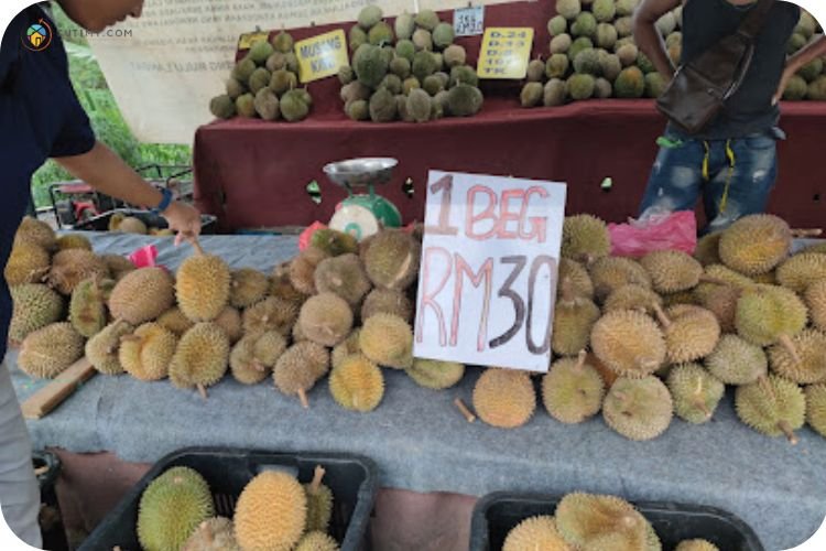 Imej Gerai Durian