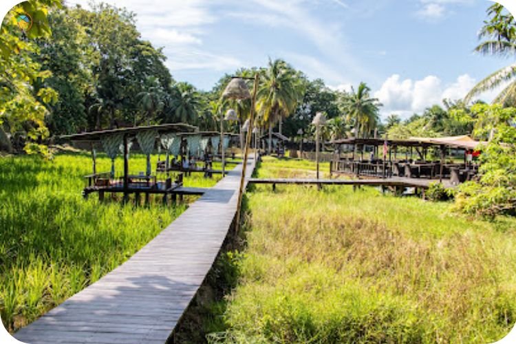 Imej Keunikan Laman Padi Langkawi