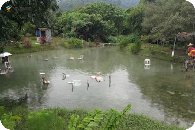 Imej Kolam Air Panas Sungai Serai