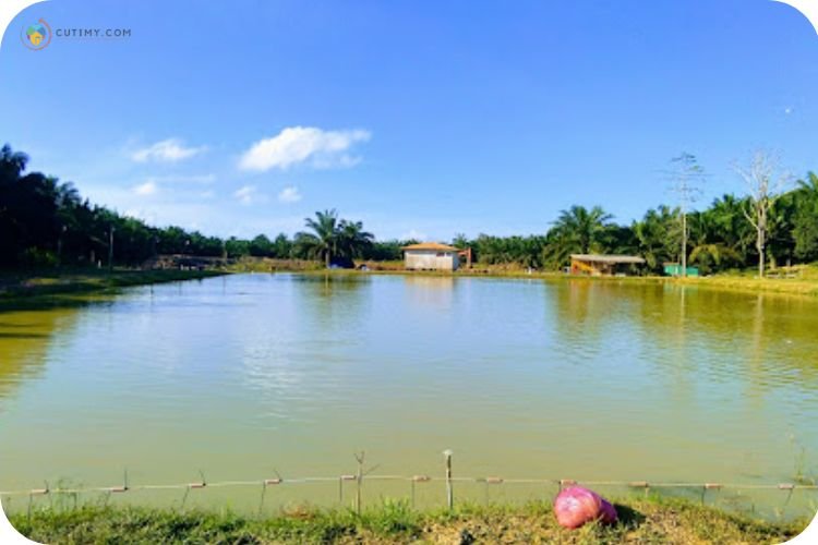 Imej Kolam Grand Strike View Sandakan