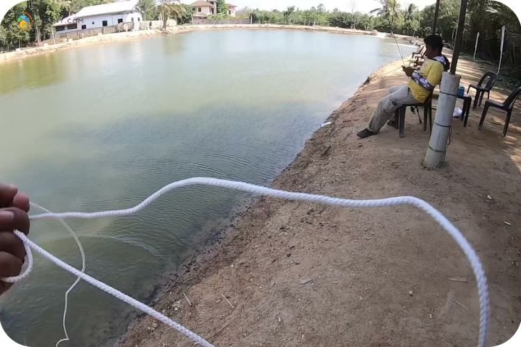 Imej Kolam Pancing Damai Rhu