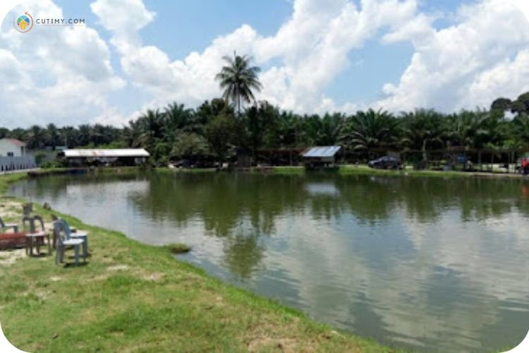 Imej Kolam Pancing (Fishing Pond) Pak Ali