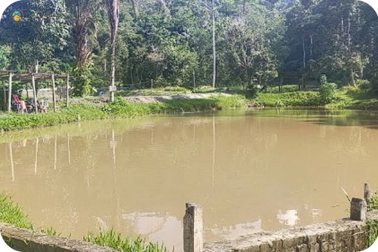 Imej Kolam Pancing Teratak De' Rimba