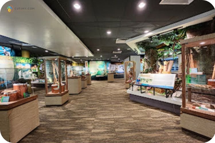 Imej Muzium Orang Asli