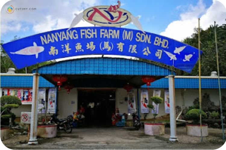 Imej Nanyang Fish Farm