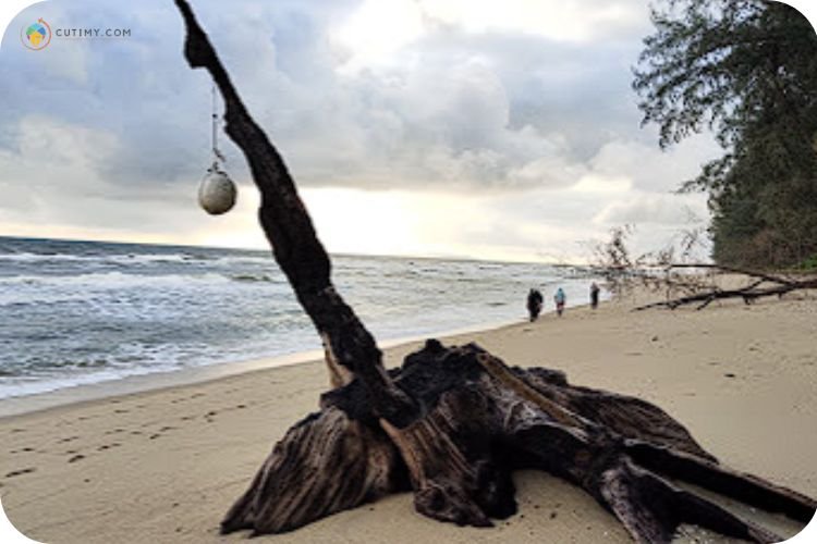 Imej Pantai Batu Buruk