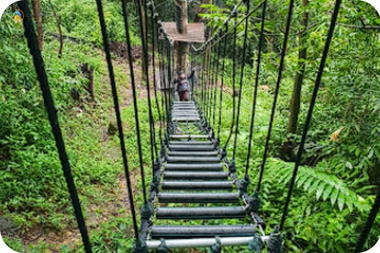 Imej SKYTREX Adventure Langkawi