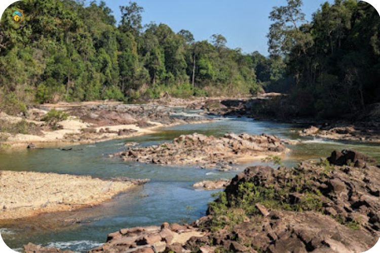 Imej Taman Hutan Lagenda Gunung Ledang