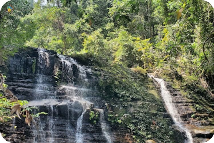 Imej Taman Negara Kubah