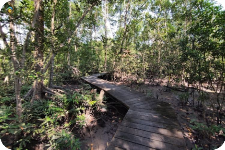 Imej Taman Negara Tanjung Piai