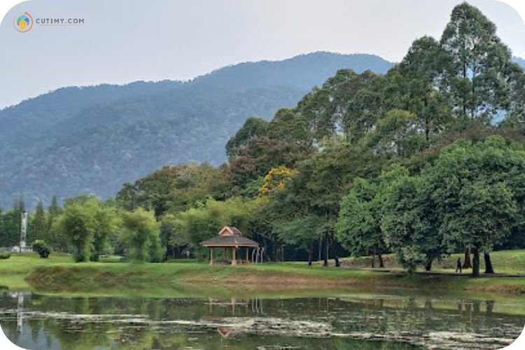 Imej Taman Tasik Taiping