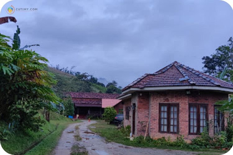 Imej Tanjung Hills