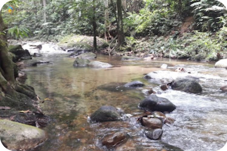 Imej Terjun Hutan Lipur Sungai Tua