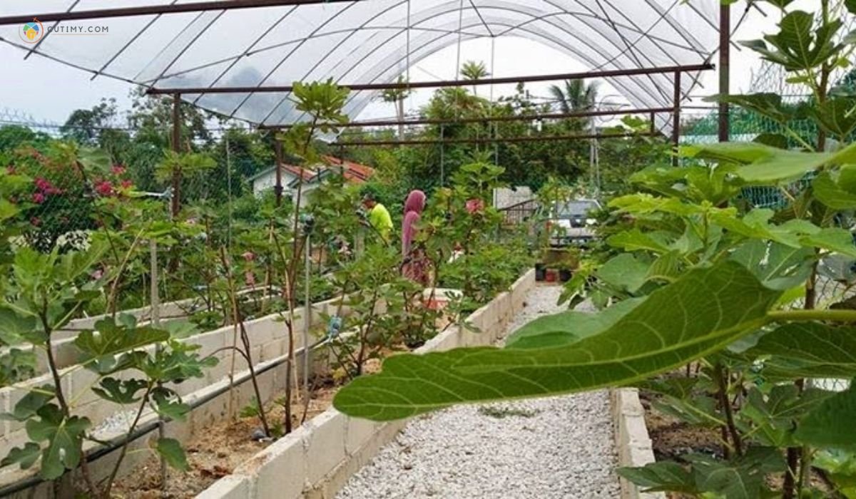 imej Amanda Putri Garden