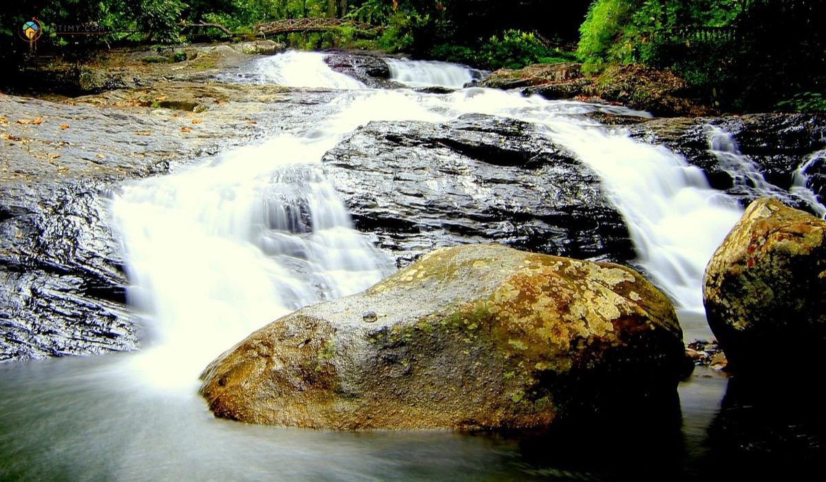 imej Bukit Hijau Recreational Forest