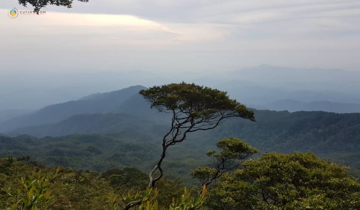 imej Gunung Sarut