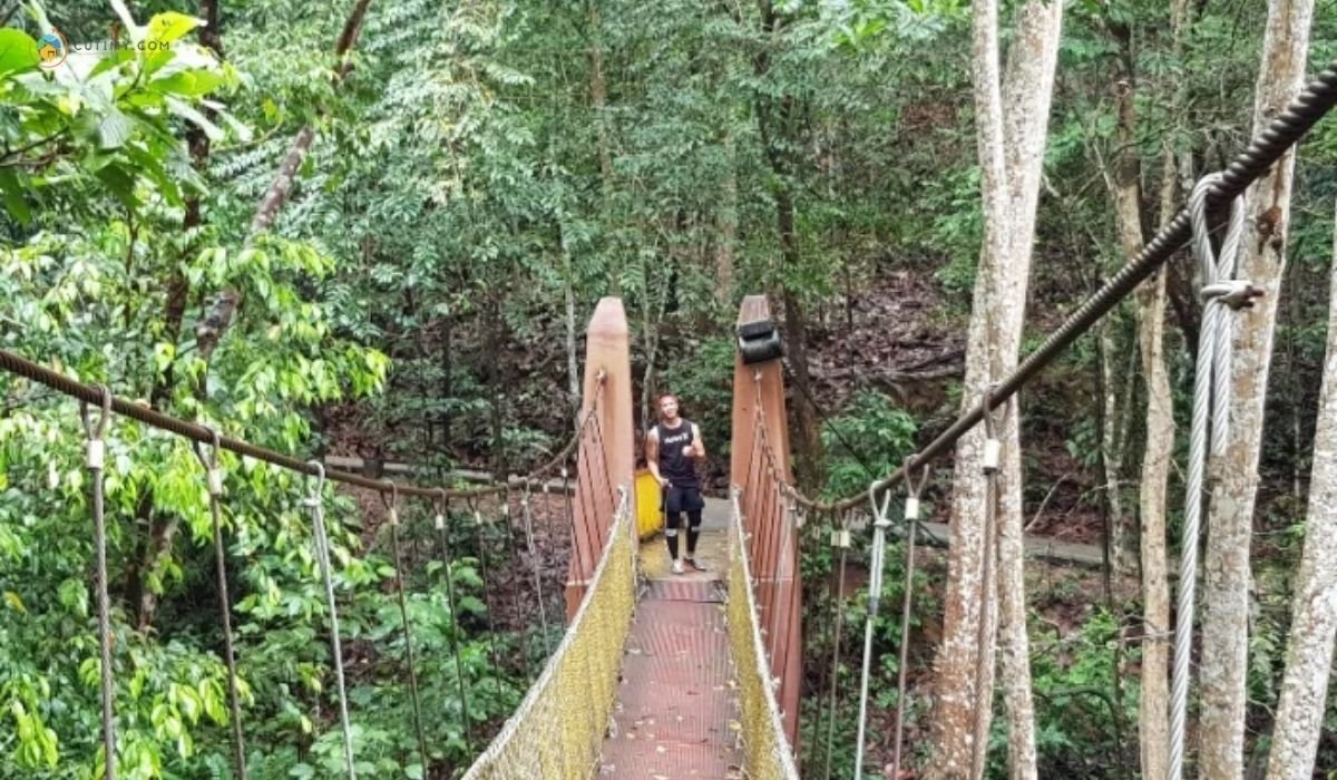 imej Hutan Rekreasi Gunung Lambak