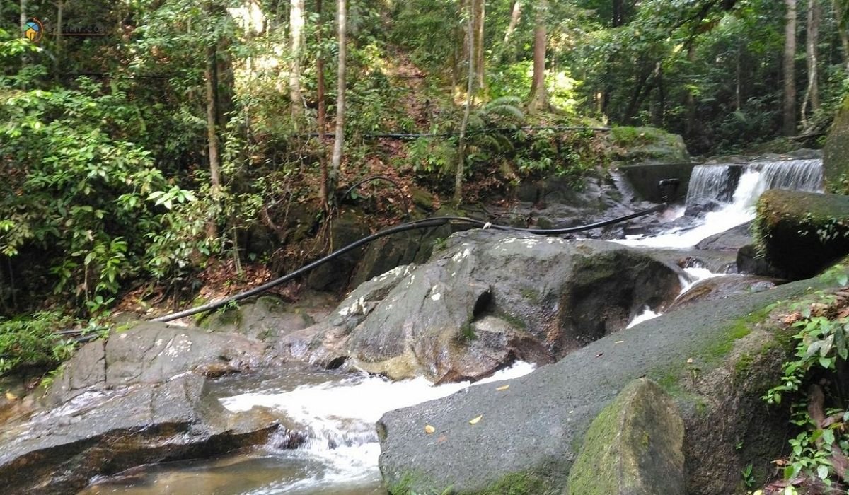 imej Hutan Rekreasi Sungai Tekala