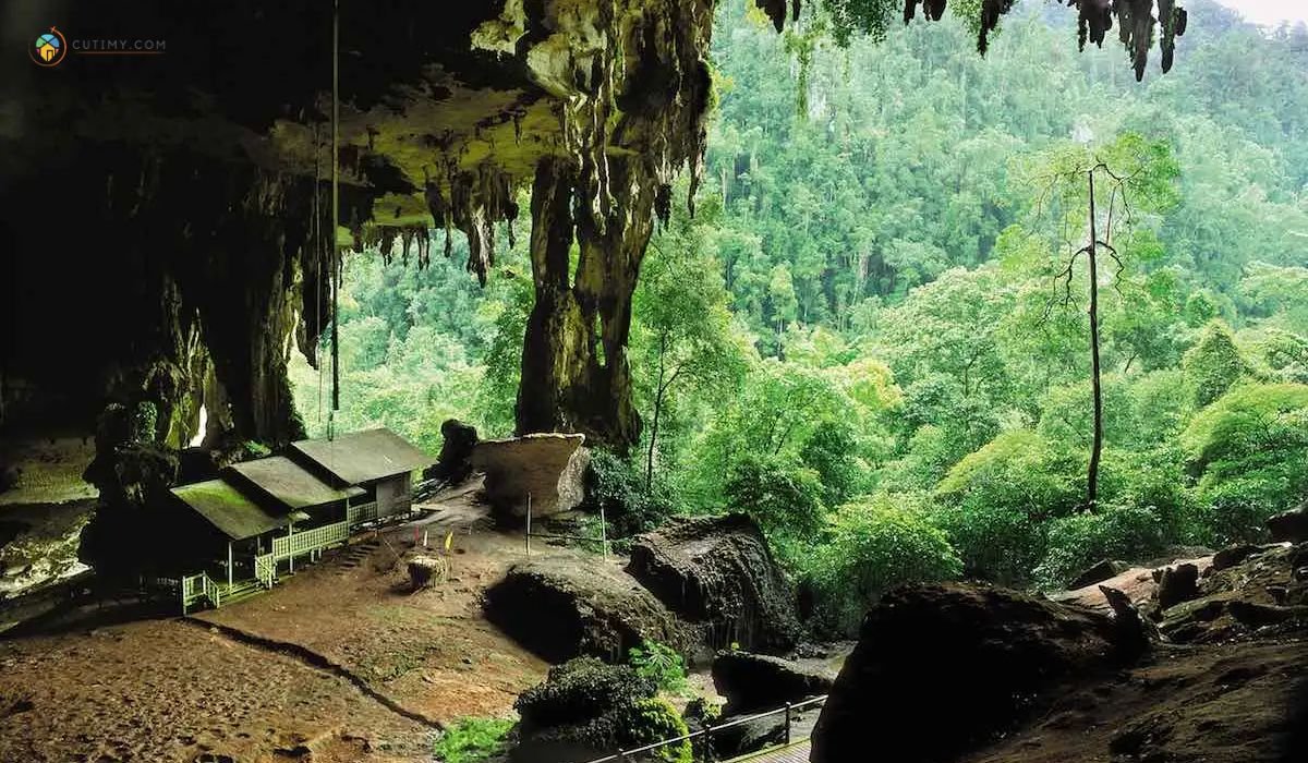 imej Niah National Park, Sarawak, Malaysia