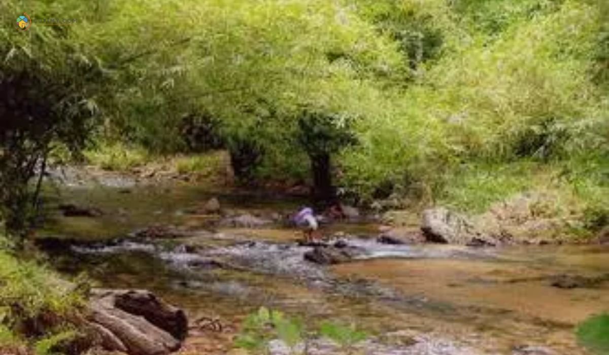 imej Sungai Angkat Ulu Legong