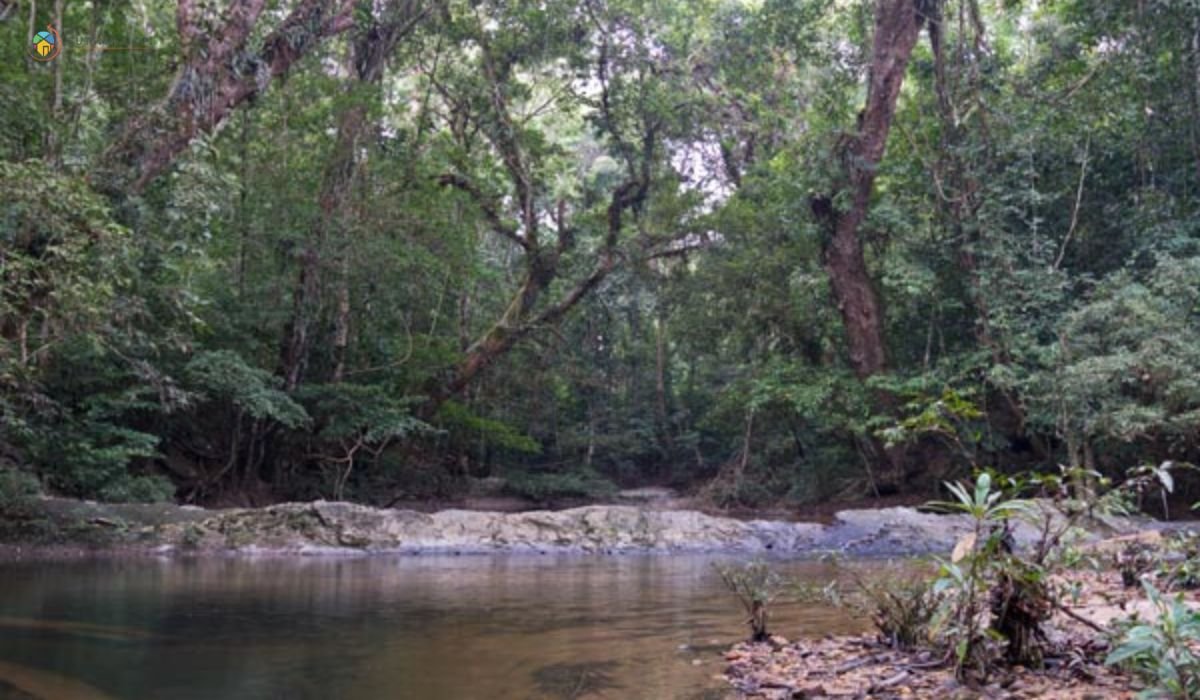 imej Taman Negara Sungai Relau