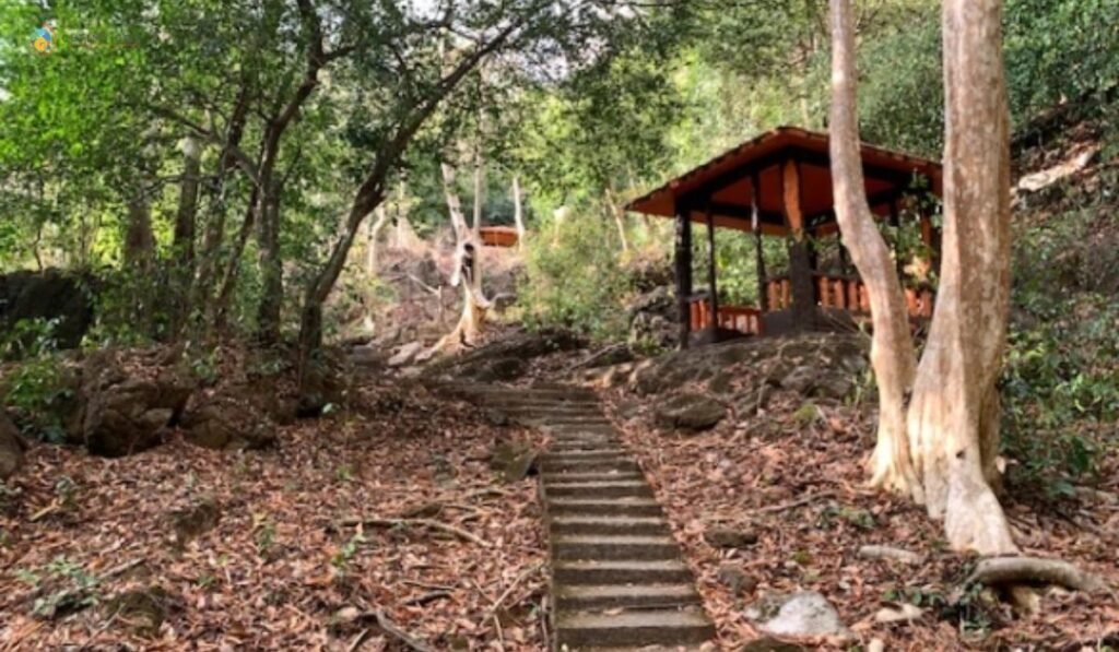 imej Bukit Kubu Recreational Forest