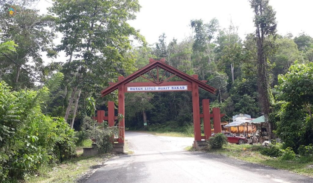 imej Hutan Lipur Bukit Bakar Machang