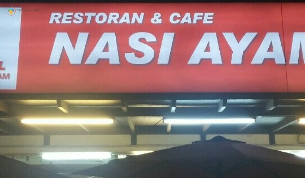 imej Rina Special Nasi Ayam Cameron Highland