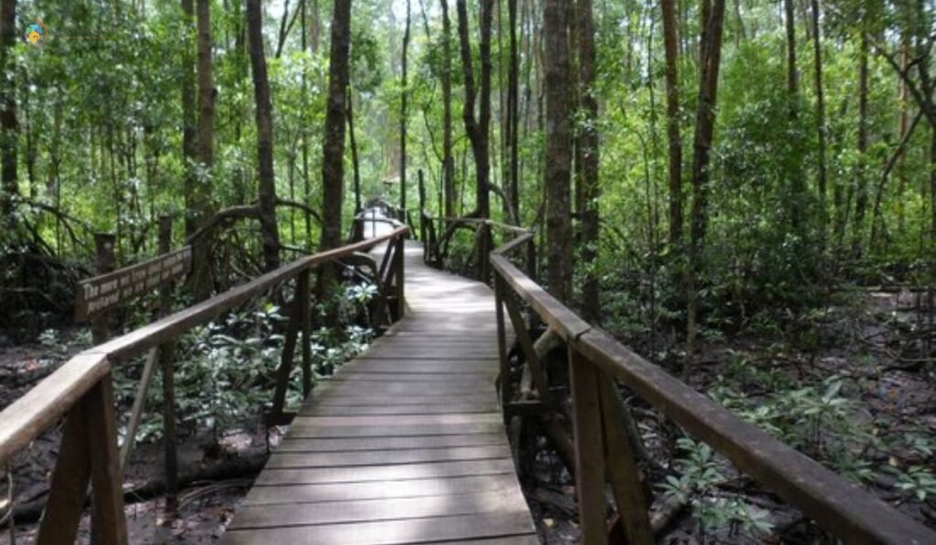 imej Taman Negara Johor Tanjung Piai