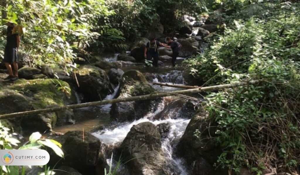 Imej Bung Sadung (Mount Sadung)