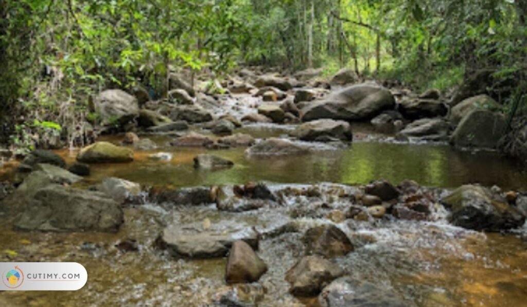 Imej Sungai Badak (Ang Kang)