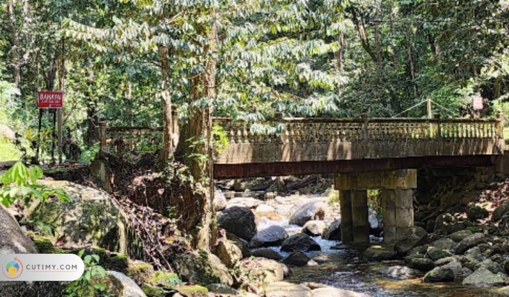 Imej Tempat Menarik Di Kuala Ketil, Hutan Lipur Bukit Hijau