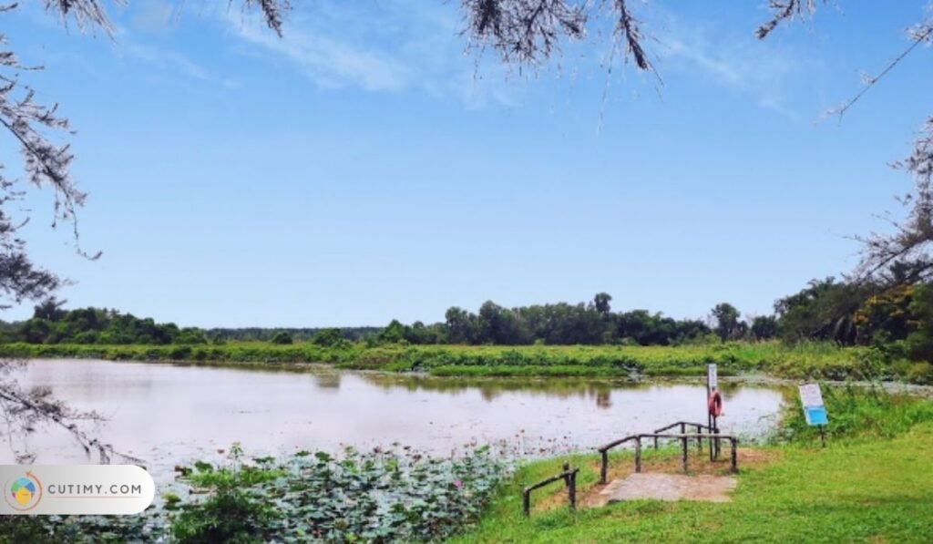 Imej Tempat Menarik di Selangor untuk Family Day, Paya Indah Wetlands